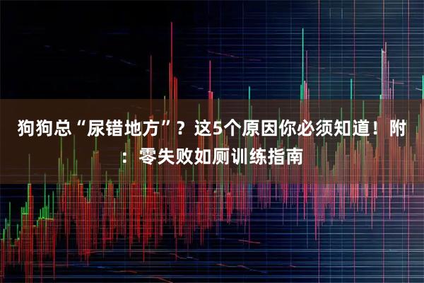 狗狗总“尿错地方”？这5个原因你必须知道！附：零失败如厕训练指南