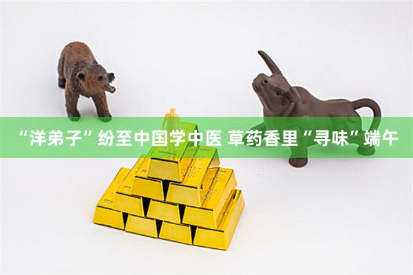 “洋弟子”纷至中国学中医 草药香里“寻味”端午