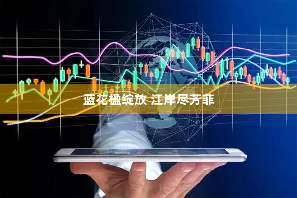 蓝花楹绽放 江岸尽芳菲