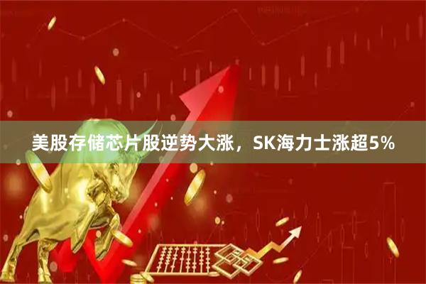 美股存储芯片股逆势大涨，SK海力士涨超5%