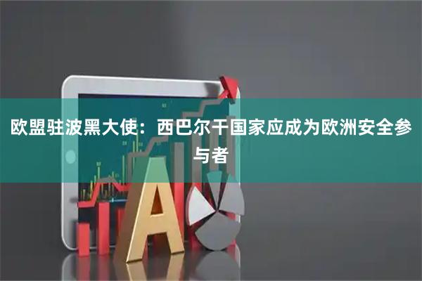 欧盟驻波黑大使：西巴尔干国家应成为欧洲安全参与者